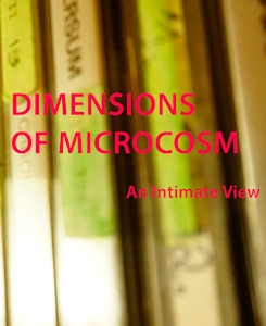 Link zur Seite Dimensions of Microcosm